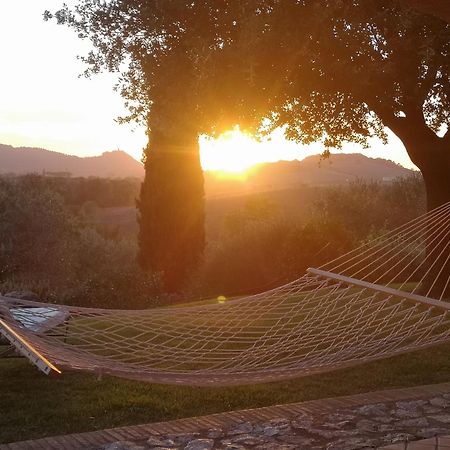 Agriturismo Il Raduno - Max Lelli Marsiliana Exterior foto